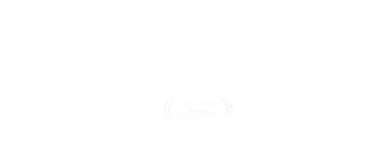 WorldFest Houston REMI award laurels